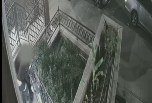 מצלמות אבטחה מתעדות את התקיפה בברוקלין (צילום: צילום מסך רשת X)