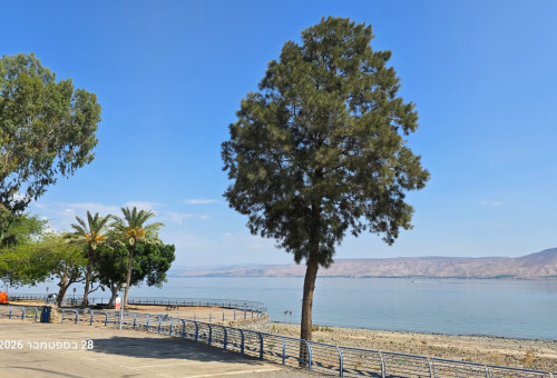 הכנרת ריקה בחול המועד סוכות (צילום: אושרי ויצמן חדשות טבריה והסביבה)