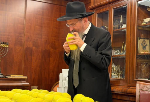 מערך הכנסת האורחים ברוסיה (צילום: לוי נאזרוב)