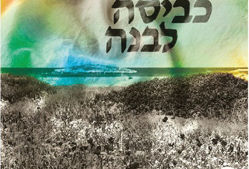 עטיפת הספר כביסה לבנה (צילום: יח"צ)