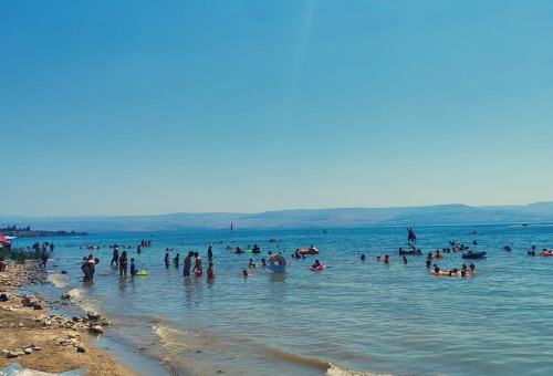 חופי הכינרת (צילום: מיכאל קרופצקי, איגוד ערים כינרת)