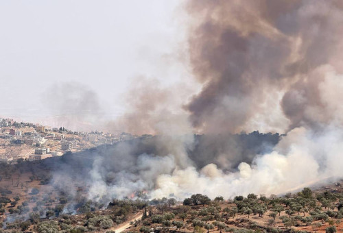 שריפת עצי זית באיו"ש (צילום: רשתות חברתיות, שימוש לפי סעיף 27 א')