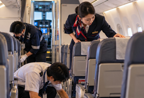 צוות טיסה מחפש חיה מסתורית (צילום: AI)