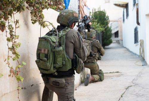 פעילות כוחות צה"ל באיו"ש, מנשה (צילום: דובר צהל)