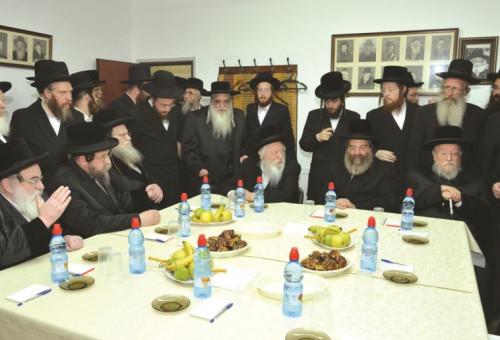 מועצת גדולי התורה של אגודת ישראל (צילום: אלי סגל, באדיבות בחדרי חרדים)