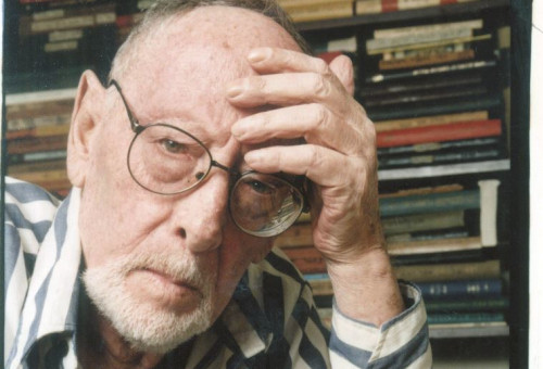 יגאל מוסינזון (צילום: אלי דסה)