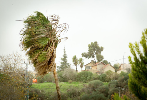 רוחות בבית אל, ארכיון (צילום: הלל מאיר/TPS)