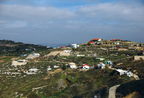 חוות גלעד (צילום: רויטרס)