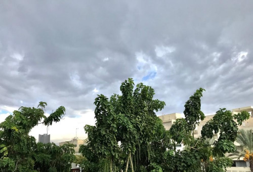 גשם בתל אביב (צילום: אבשלום ששוני)