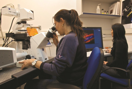 מדענים במכון ויצמן (למצולמים אין קשר לכתבה) (צילום: דורון הורוביץ, פלאש 90)