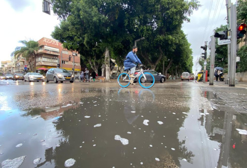 חורף (צילום: אבשלום ששוני)