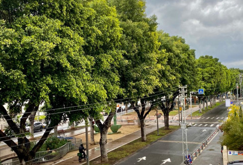 יום מעונן בתל אביב (צילום: אבשלום ששוני)