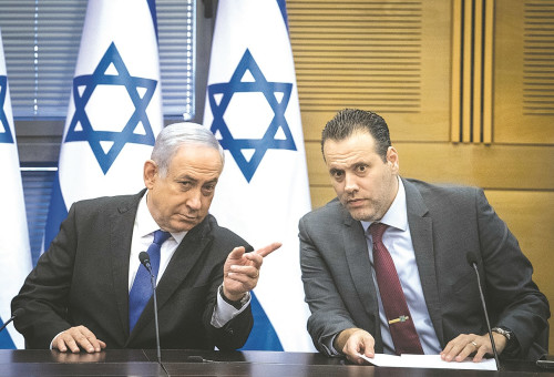 מיקיז וביבז (צילום: הדס פרוש, פלאש 90)