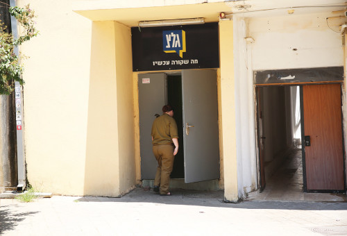 גלצ (צילום: אלוני מור)