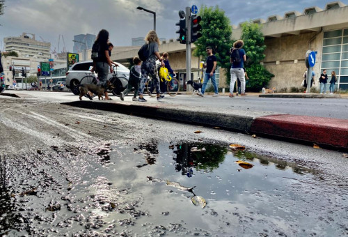 מזג אוויר גשום (צילום: אבשלום ששוני)