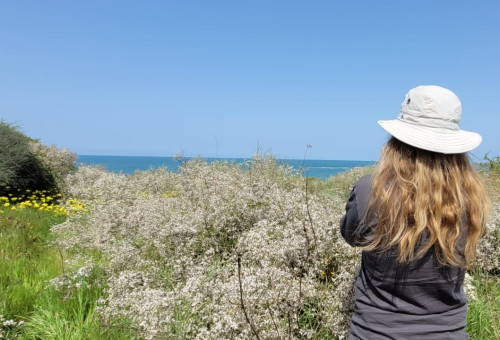 מטיילים בשבת השמשית (צילום: שרית פלאצי רשות הטבע והגנים)