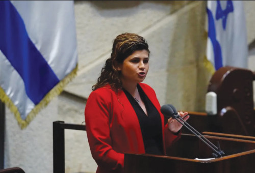 שרן השכל (צילום: דוברות הכנסת, עדינה ולמן)