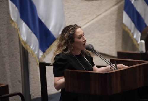 ענבר בזק (צילום: דני שם טוב, דוברות הכנסת)