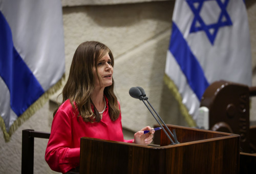 מיכל וולדיגר (צילום: נועם מושקוביץ, דוברות הכנסת)