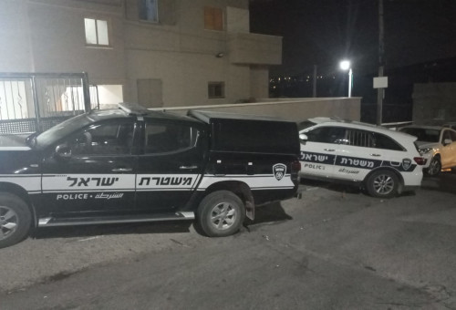 ניידות משטרה, ארכיון (צילום: דוברות המשטרה)