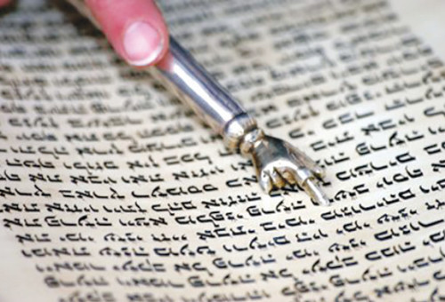 ספר תורה (צילום: מרק ישראל סלם 480)