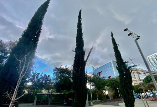 מזג אוויר מעונן בתל אביב (צילום: אבשלום ששוני)