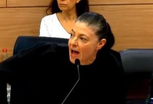 מרב מיכאלי  (צילום: צילום מסך מערוץ הכנסת)