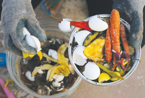 מזון ואשפה (צילום: רויטרס)