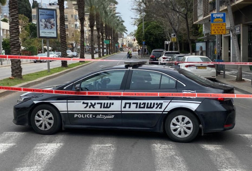 ניידת משטרה (צילום: אבשלום ששוני)