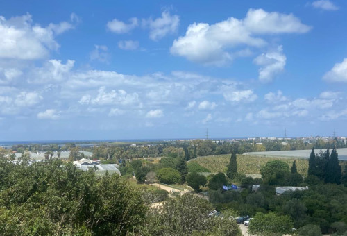 נחל מערות (צילום: דינה רוזנטל, רשות הטבע והגנים)