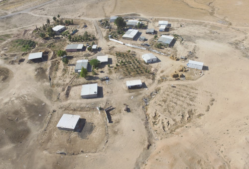 פזורה  (צילום: באדיבות תנועת רגבים)