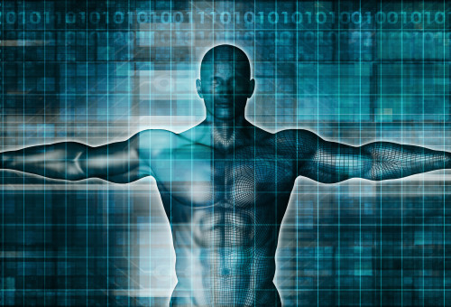 גוף האדם, אילוסטרציה (צילום: אינג'אימג')