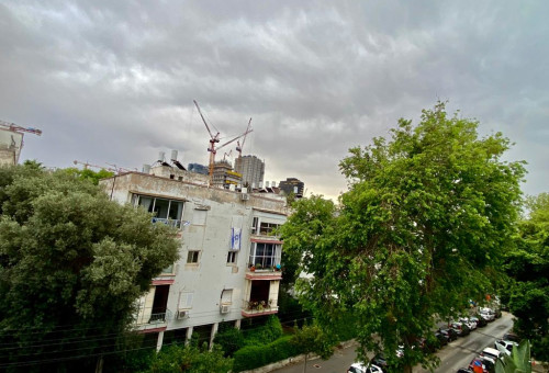 גשם  (צילום: אבשלום ששוני)