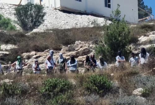 מתנחלים בכפר בורקה בשומרון (צילום: ארגון יש דין)