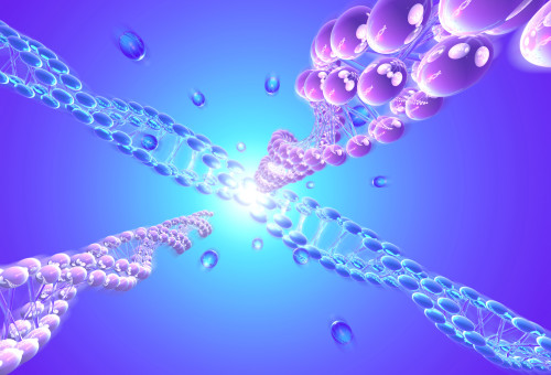 DNA (צילום: אינגאימג')