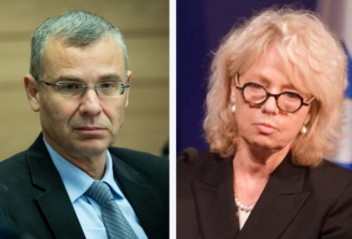 גלי בהרב-מיארה, יריב לוין  (צילום: יונתן זינדל פלאש 90,נתן ווייל, לע"מ)