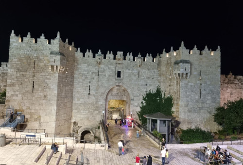 שער שכם  (צילום: יוליה ברזון)