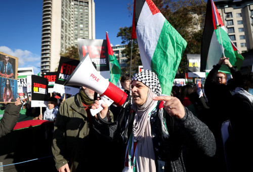מפגינים פרו פלסטינים (צילום: רויטרס)