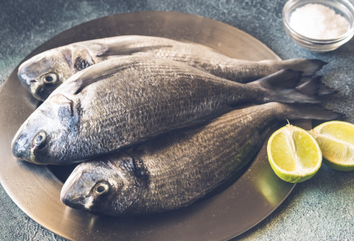 דגים  (צילום: אינגאימג')