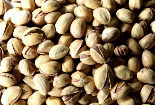 פיסטוקים (צילום: אינג'אימג')