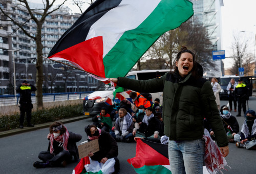 מפגינים פרו פלסטינים (צילום: REUTERS/Piroschka van de Wouw)