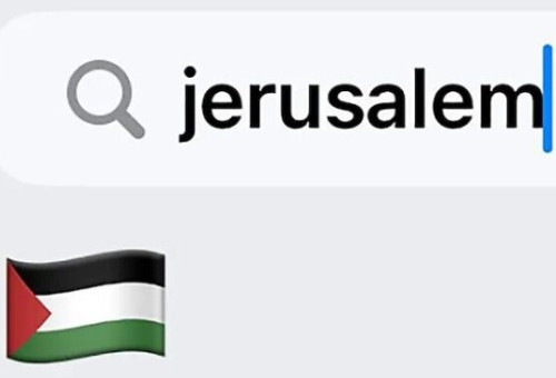 דגל פלסטין באייפון (צילום: הרשתות החברתיות)
