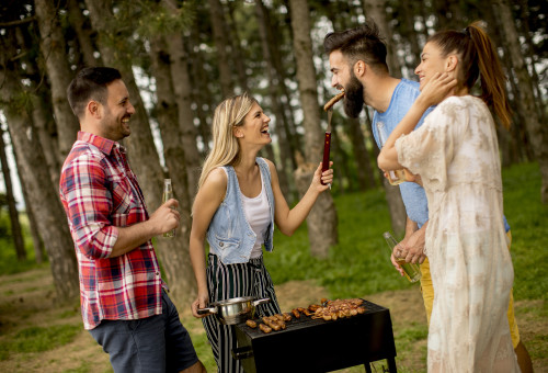 מנגל (צילום: אינגאימג')