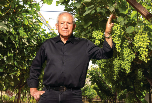 אבי דיכטר (צילום: יוסי אלוני, פלאש 90)