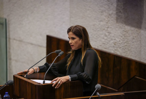 מירב בן ארי (צילום: נועם מושקוביץ, דוברות הכנסת)