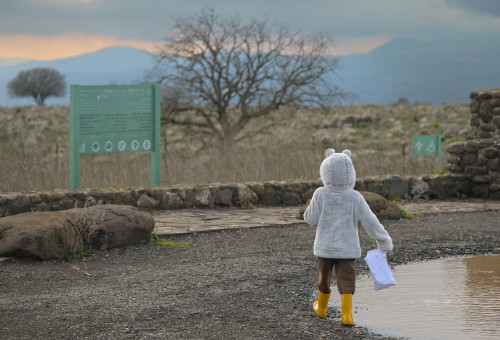 מזג אוויר חורפי (צילום: מיכאל גלעדי, פלאש 90)
