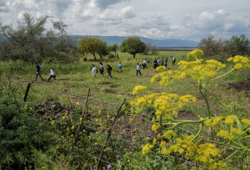מזג אוויר חורפי ושמשי (צילום: מיכאל גלעדי, פלאש 90)