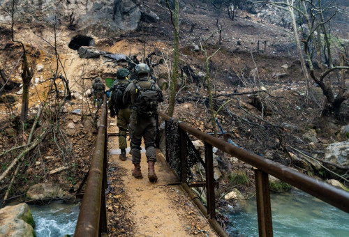 כוחות צה"ל בליטאני (צילום: דובר צה"ל)