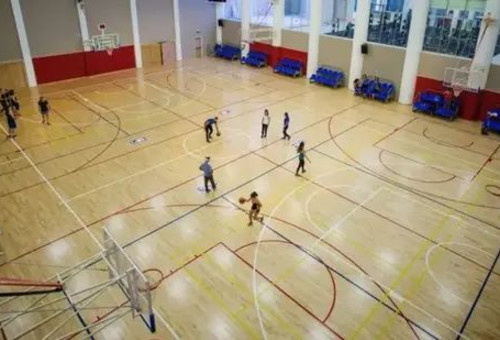  (צילום: יחצ)