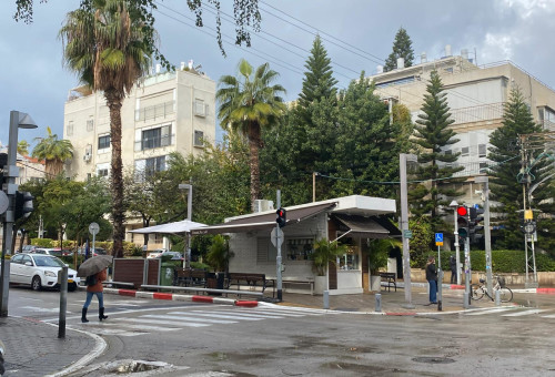 חורף בתל אביב (צילום: אבשלום ששוני)